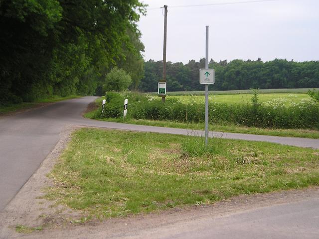 Projektfortgang Küsterhorst 2.jpg